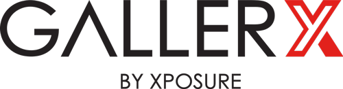 GalleryX Logo